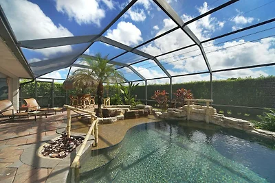 CCVS - Tropical Dream