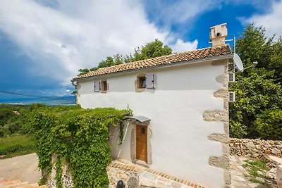 Rustic stone house JELA with pool