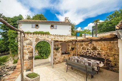 Rustic stone house JELA with pool