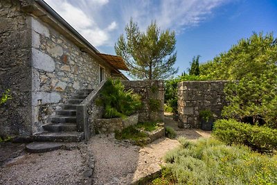 Bella casa vacanze in pietra MENTA I