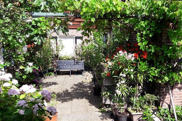 Ferienhaus Schoorl