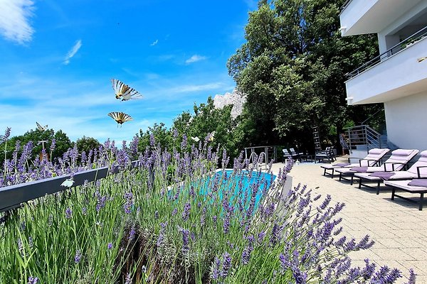 Casa vacanze Baska Voda