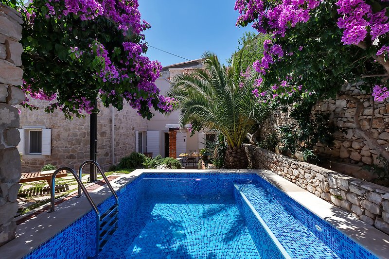 Privater Pool mit grüner Landschaft, blühenden Pflanzen und Liegestühlen.