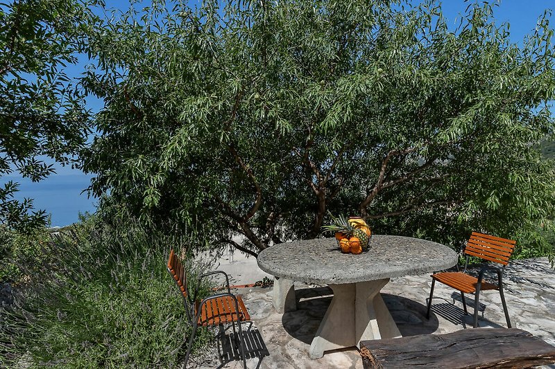 Gemütlicher Außenbereich mit Tisch, Stühlen, Pflanzen und schattigem Baum.