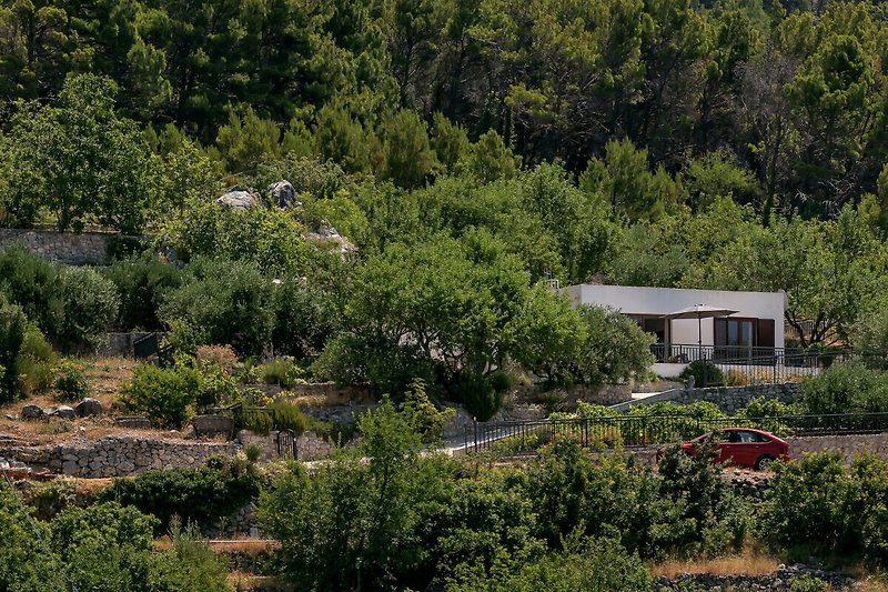 Gemütliches Ferienhaus mit grüner Landschaft, Bäumen, Pflanzen und Meerblick