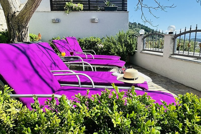 Violette Pflanzen und Outdoor-Möbel im Garten.