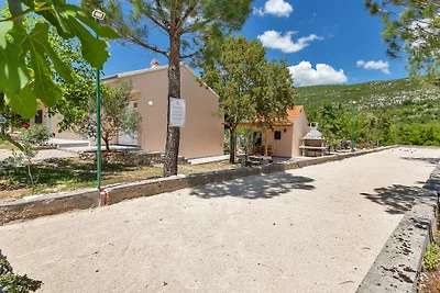 Villa Danica mit Pool- Alleinlage
