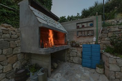 Oliven Garten in Alleinlage