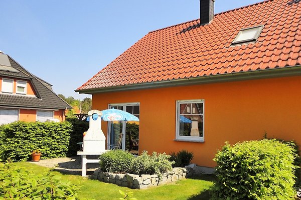 Sig. A. Franke Sig. A. Franke