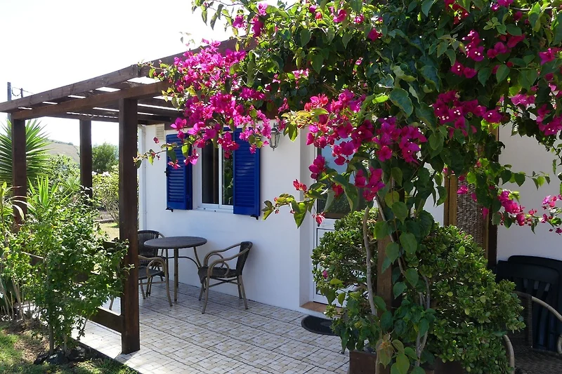 Casa Azul