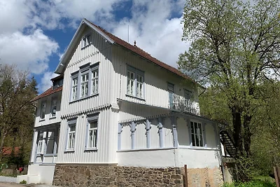 Das Weisse Haus am Fluss