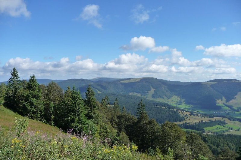 Schwarzwaldberge