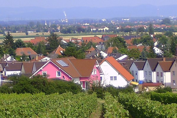 Ferienwohnung Dirmstein