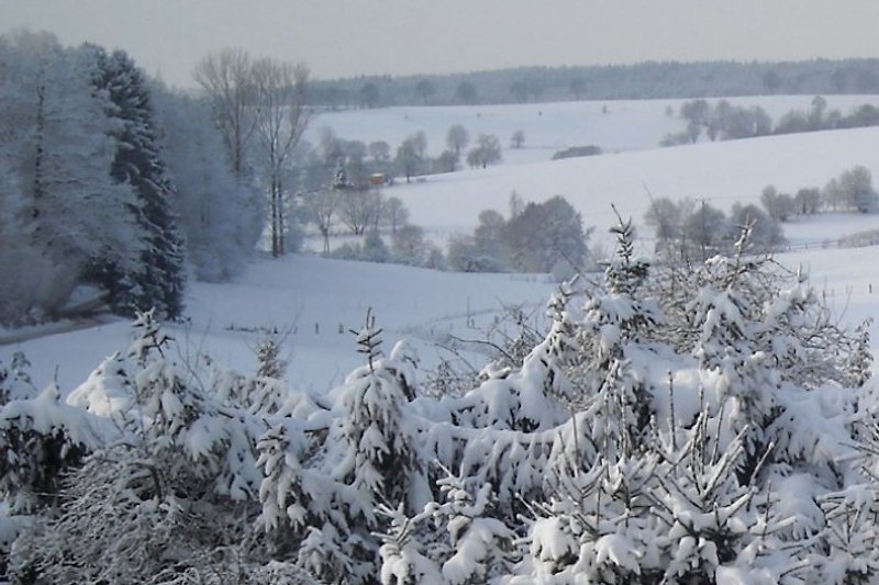 Das Nallinger Tal im Winter