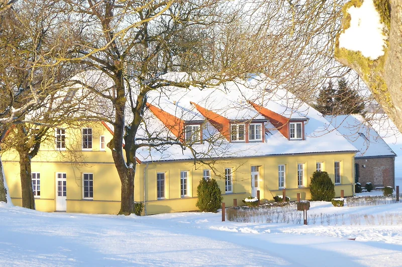 Winterliches Landhaus mit großem Garten und schneebedecktem Hof.
