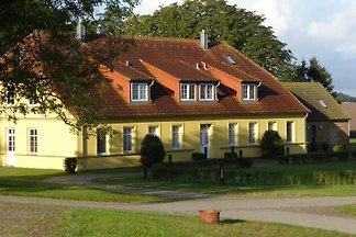 Gut Rattelvitz - Galerie D