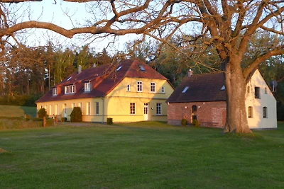 Rattelvitz Manor - Piano terra C