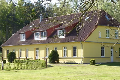 Rattelvitz Manor - Piano terra C