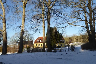 Gut Rattelvitz - Galerie E - MITTE