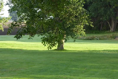 Gut Rattelvitz - Galerie E - MITTE