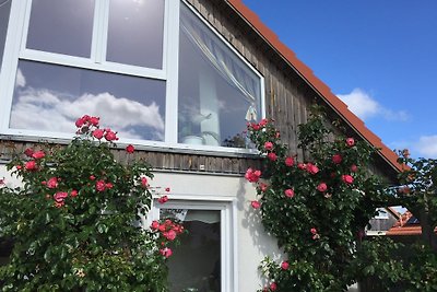Ferienhaus Halbinsel Holnis