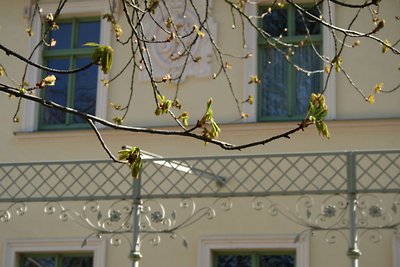 Villa Kaiserhof Zinnowitz - Wg. 5