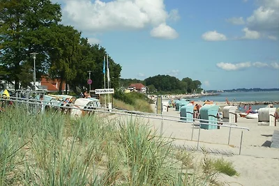 Haus Südstrand Whg. 06****
