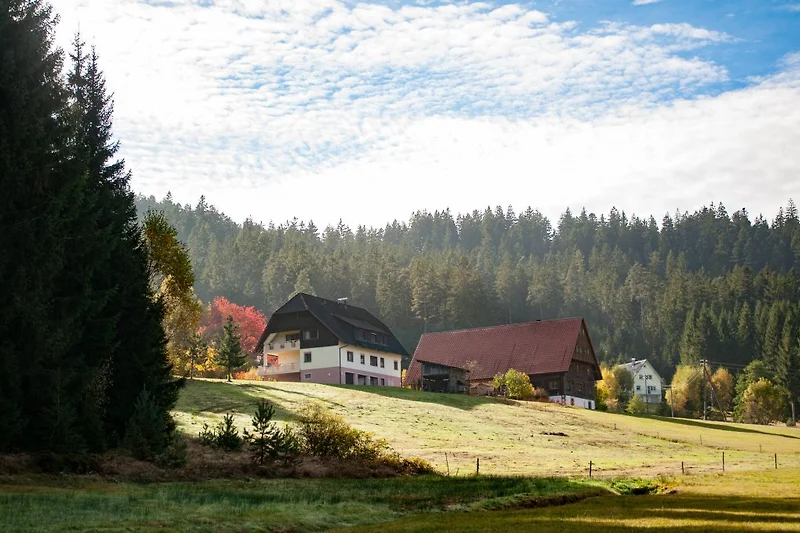 Hofansicht von der Zufahrtstrasse