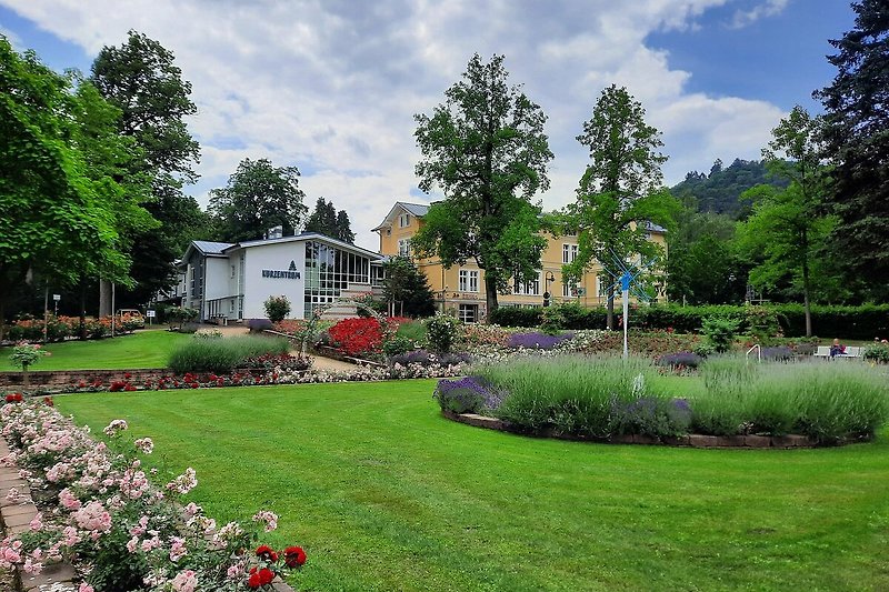 Schöner Rosengarten am Kurzentrum umgeben von Natur im Stadtpark und blühendem Garten.