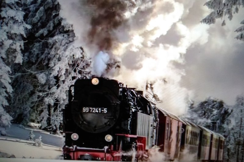 Wintererlebnisse in malerischer Landschaft und historischer Eisenbahn.