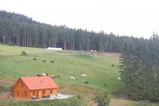 Alm-Chalet Sternen Chalet