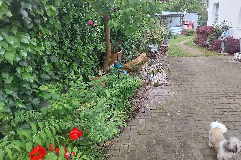 Hund spielt im Garten mit Blumen und Pflanzen - lebendige Szene.