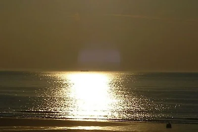 Vakantiewoning Domburg