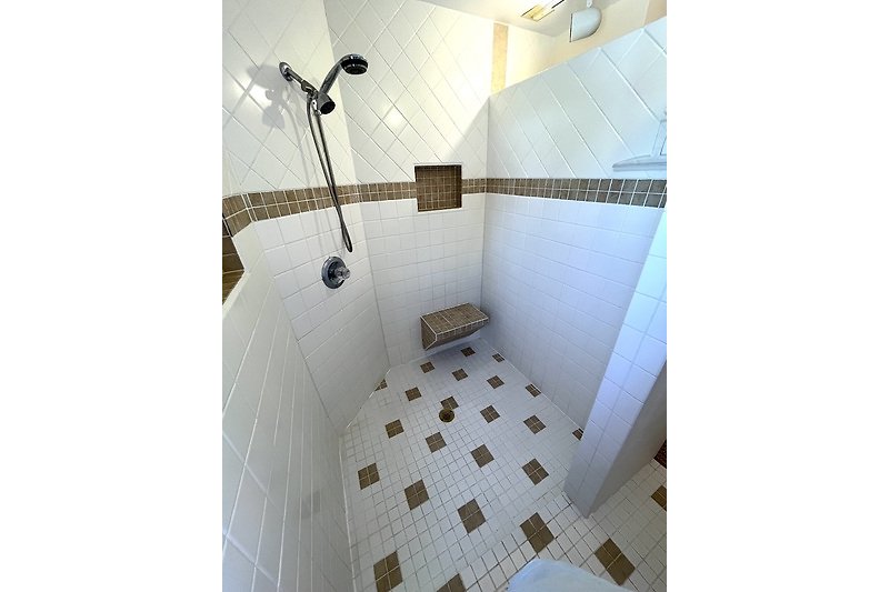 Shower Master Bathroom