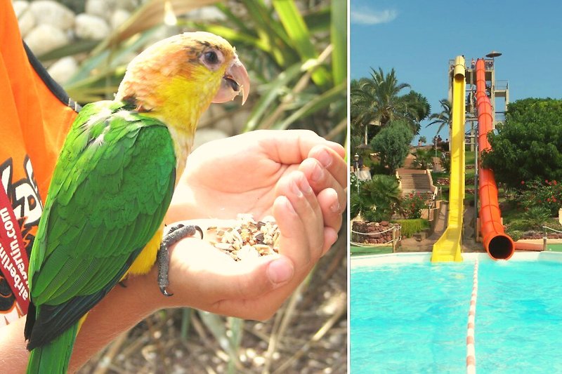 Jede Menge Spaß - Papagaienpark Peñiscola &  Wasserpark Aquarama