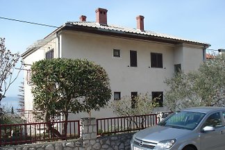maison Ivo