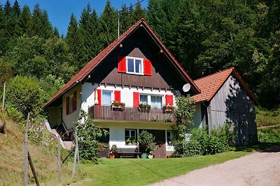 Ferienhaus 96/2 Rinkenbachhof