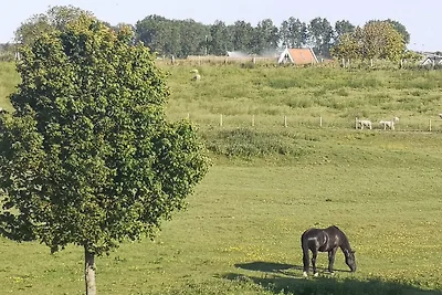 Ferienhaus  Sonnenschein am Kanal