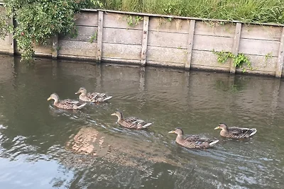 Ferienhaus  Sonnenschein am Kanal