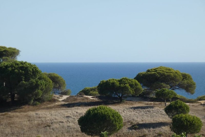 Wilde Wanderpfade an der Küste, Meerblick, 1 Stock, gesummt, Sommerfoto