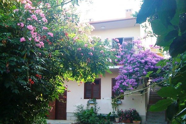 Haus in Blumen Haus in Blumen
