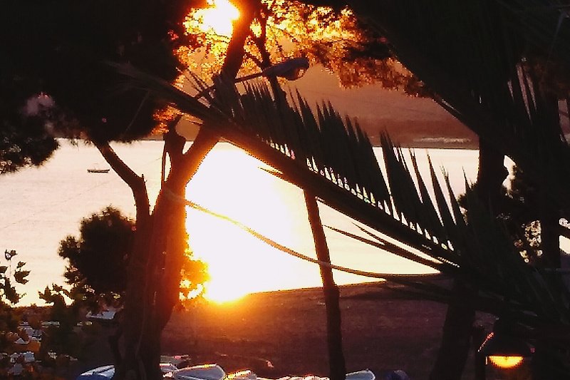 Sonnenuntergang am Strand mit Palmen und leuchtendem Himmel.