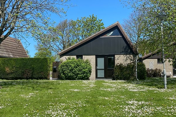 Ferienhaus Ellemeet