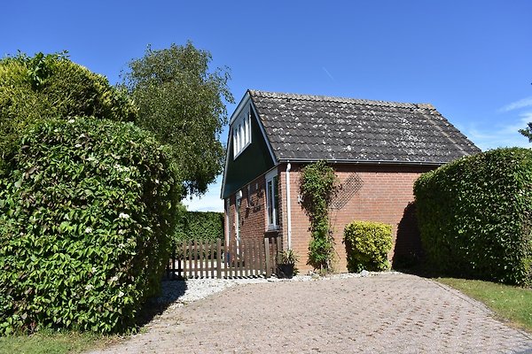 Ferienhaus Brouwershaven