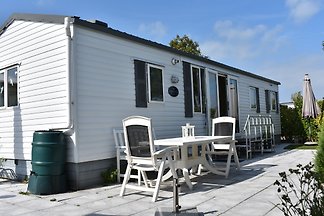 Zwaan 1263 Renesse