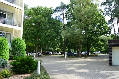 Il lato soleggiato dell'Haus Südwind