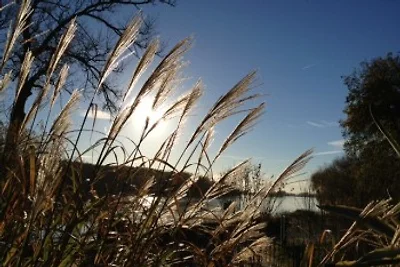 Ferienhaus Fiedler an der Oder