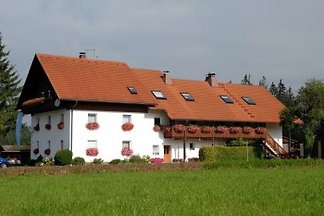Ferienwohnungen Fröhlich 5*****