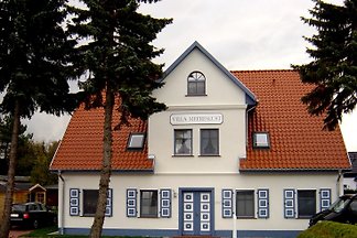 Auf dem Zingst