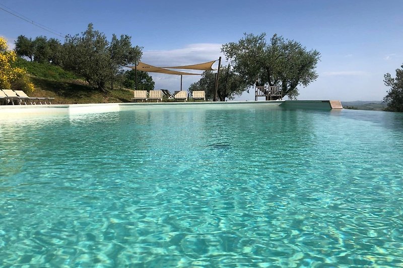 Ferienhaus mit Pool und Meerblick in der Karibik.